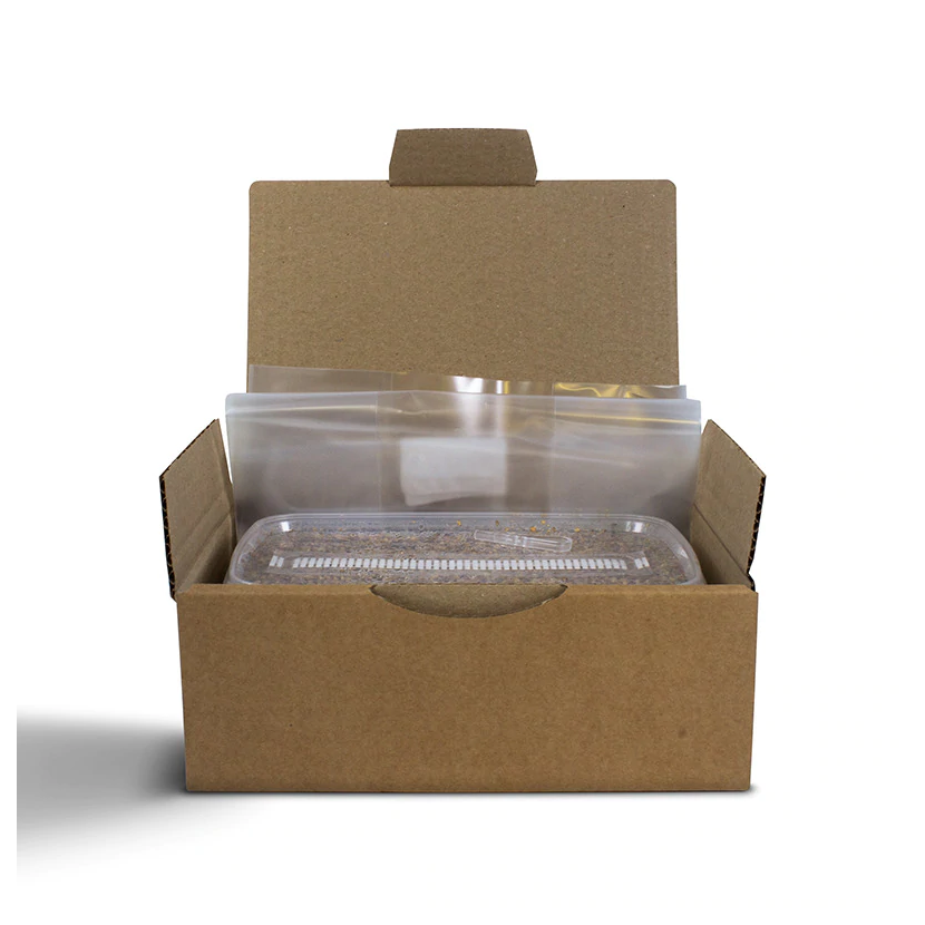 GROW KIT TREASURE COAST